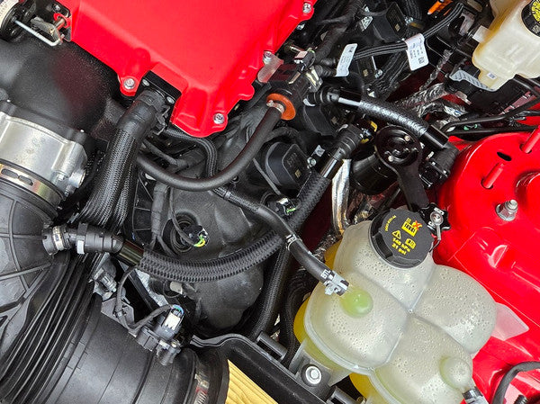 24-25 Mustang GT w/Roush SC Clean Side Catch Can-Black