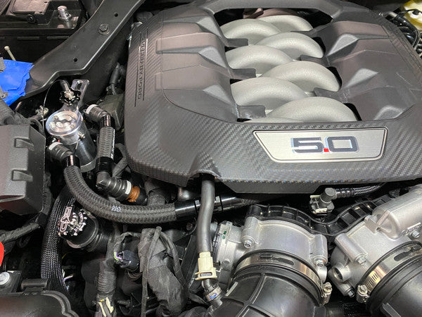 24 Mustang 5.0 SC Catch Can-Black