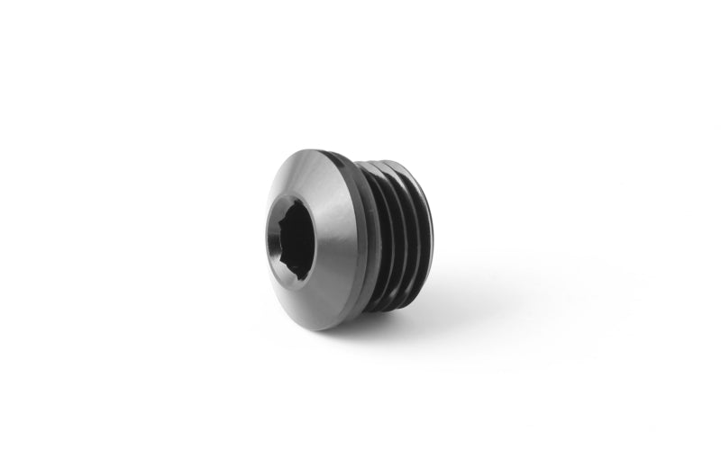 5738 Go Fast Bits -6AN Blanking Plug (Suits FXR 8060)