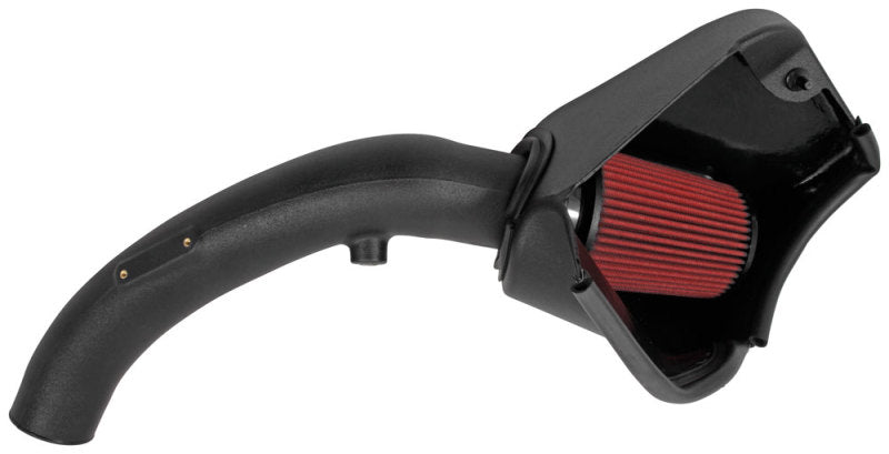 21-754DS AEM 12-15 BMW 335i 3.0L L6 Cold Air Intake