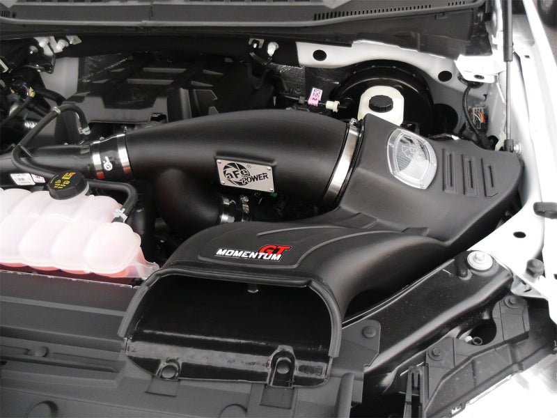 51-73112-1 aFe Momentum GT Pro DRY S Intake System 2016 Ford F-150 EcoBoost V6-2.7L/3.5L (tt)