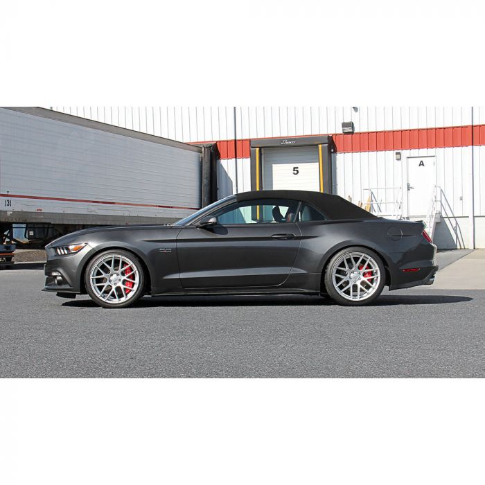 Ford Racing 15-19 Mustang (w/o MagneRide) Street Lowering Spring Kit - Kit Espirales -