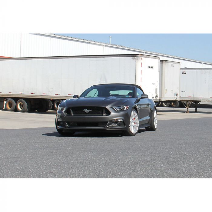 Ford Racing 15-19 Mustang (w/o MagneRide) Street Lowering Spring Kit - Kit Espirales -