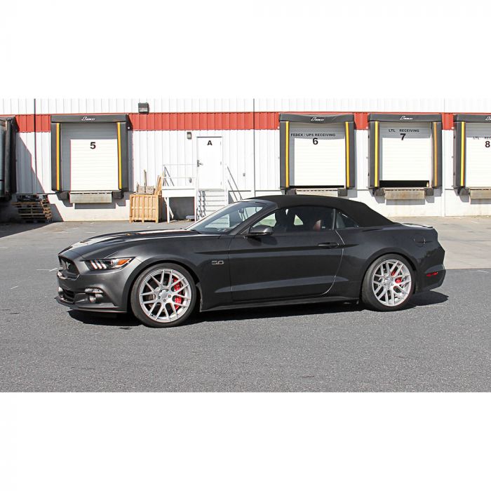 Ford Racing 15-19 Mustang (w/o MagneRide) Street Lowering Spring Kit - Kit Espirales -